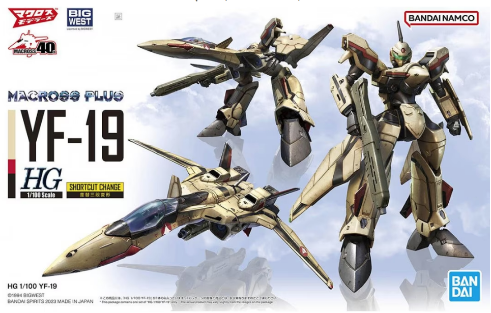 1:100 HG Macross Plus YF-19